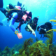 Tauchen zusammen im Advanced Kurs bei der Tauchschule how2dive in Utting am Ammersee