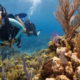 PADI Open Water Diver Kurs, Tauchen zusammen mit deinem Ausbilder
