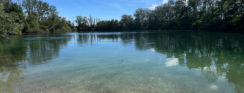 Echinger Weiher, always a beautiful dive