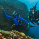 Two divers next to a reef wall, one pointing in a direction to his dive buddy with his hand.