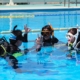 Drei Taucher mit Tauchausrüstung im Schwimmbad verständigen sich mit Handzeichen an der Wasseroberfläche.