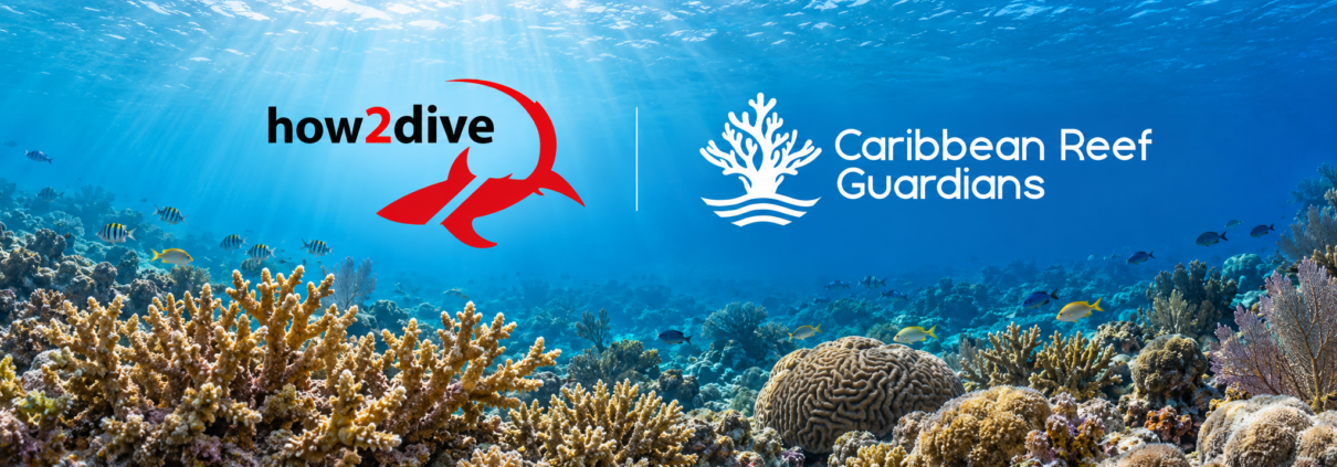 Logos of how2dive and Caribbean Reef Guardians in front of a coral reef with fish and incoming sunbeams.